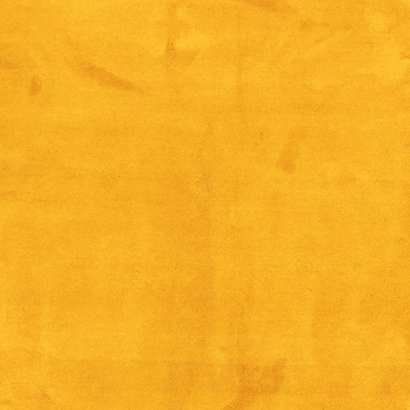Gabbeh Teppich Indus 300x389cm - Wollteppich - gold