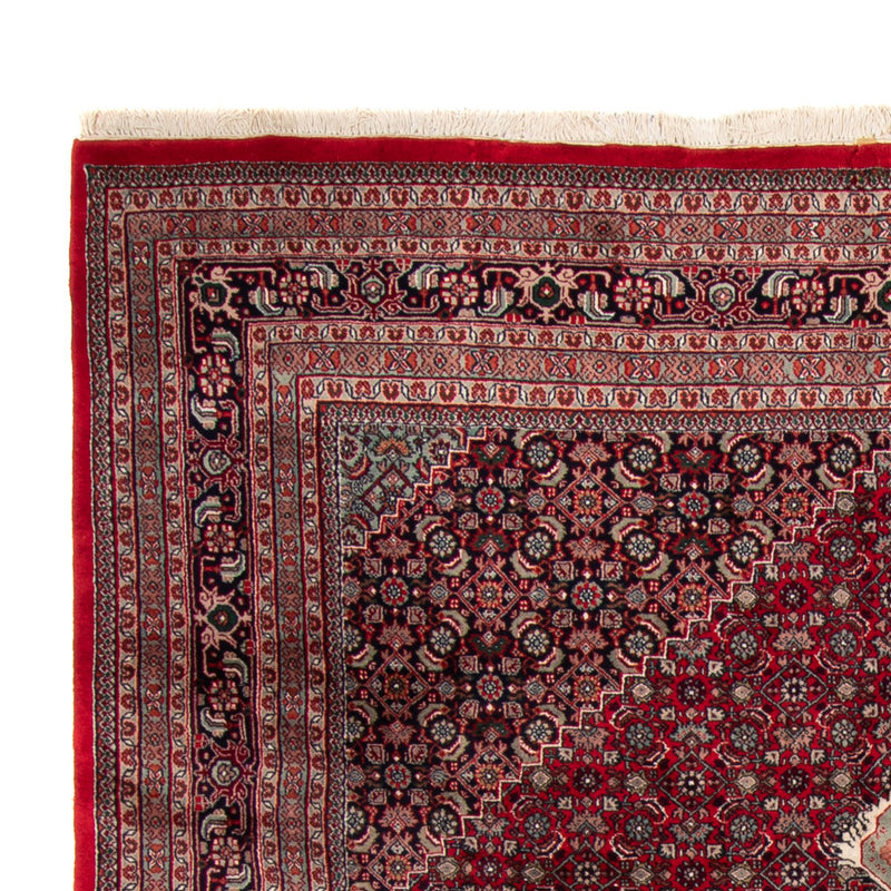 Indo Bidjar Teppich 252x348cm - Orientteppich - rot