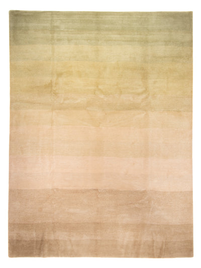 Nepal Teppich 252x345cm - Wollteppich - mehrfarbig