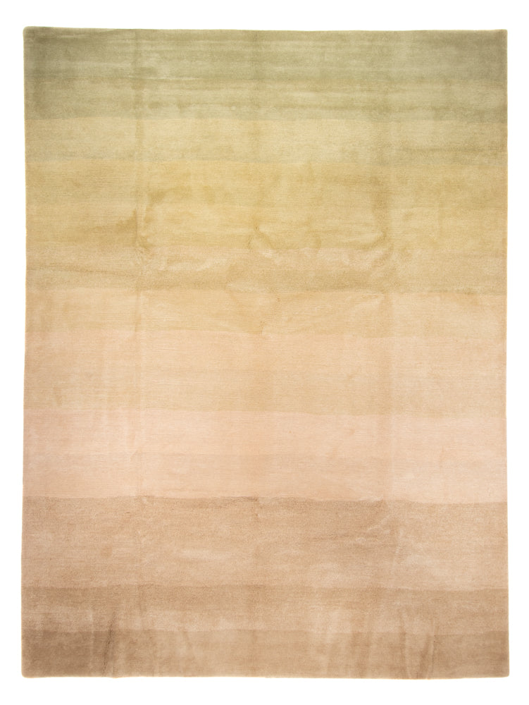 Nepal Teppich 252x345cm - Wollteppich - mehrfarbig
