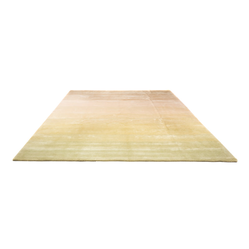 Nepal Teppich 252x345cm - Wollteppich - mehrfarbig
