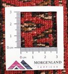 Turkaman Teppich 50x100cm - Orientteppich - rot