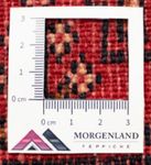 Turkaman Teppich 50x100cm - Orientteppich - rot