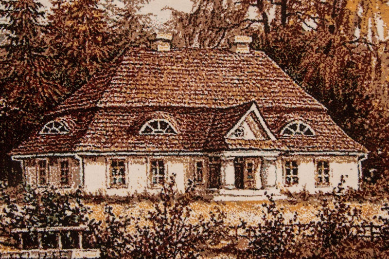 Bild-Teppich 62x82cm - Orientteppich - mehrfarbig