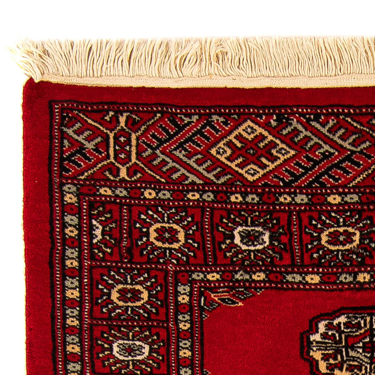 Pakistan Teppich 80x123cm - Orientteppich
