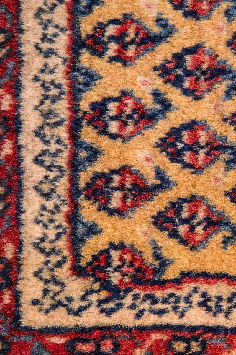Kolyai Teppich 238x288cm - Perserteppich - beige