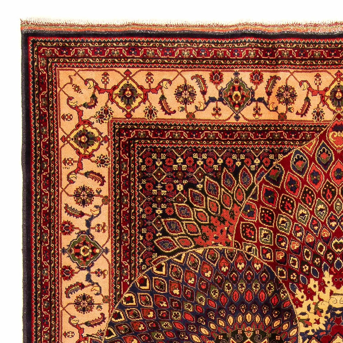 Afghan Teppich 198x279cm - Orientteppich - mehrfarbig