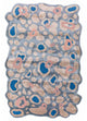 Designer Teppich sonderform  - 180 x 270 cm - blau