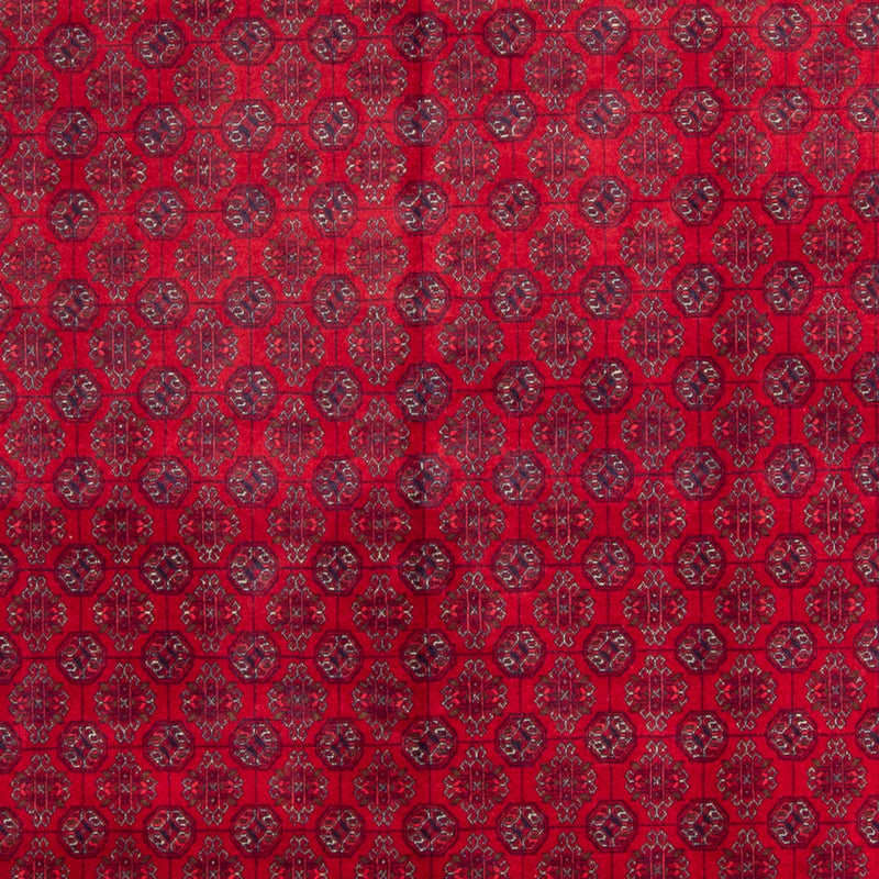 Afghan Teppich - Buchara - 240 x 340 cm - rot