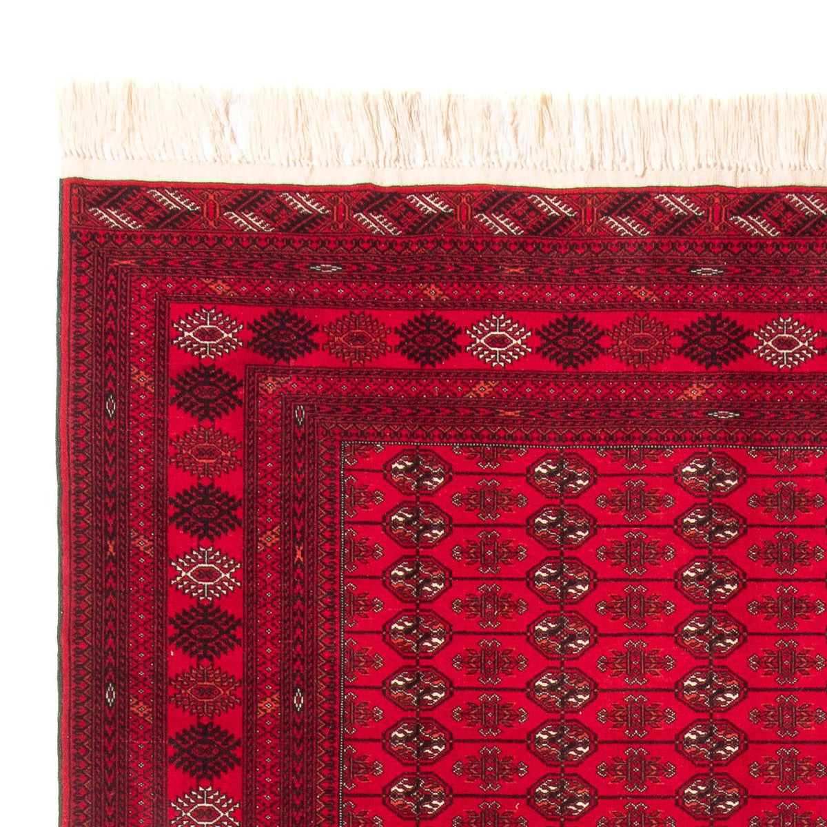 Afghan Teppich - Buchara - 200 x 282 cm - rot