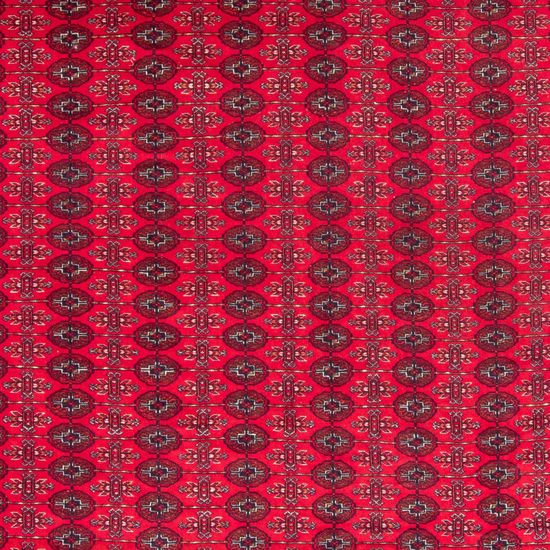 Buchara Teppich 300x370cm - Orientteppich - rot