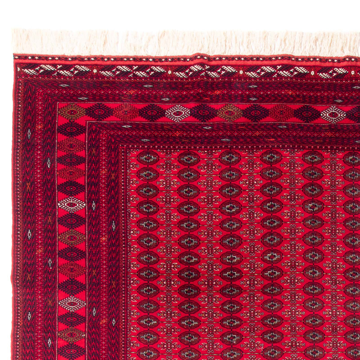Buchara Teppich 300x370cm - Orientteppich - rot