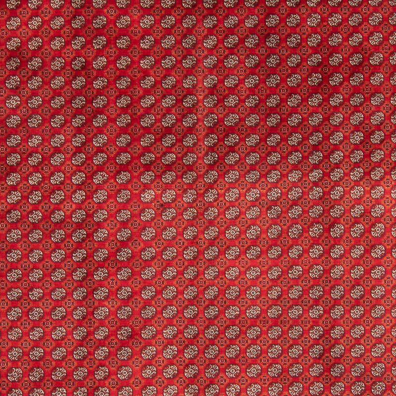 Buchara Teppich 300x375cm - Orientteppich - rot