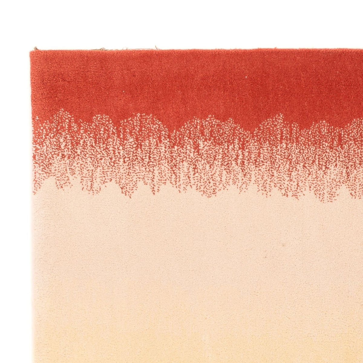 Wollteppich - 115 x 170 cm - mehrfarbig