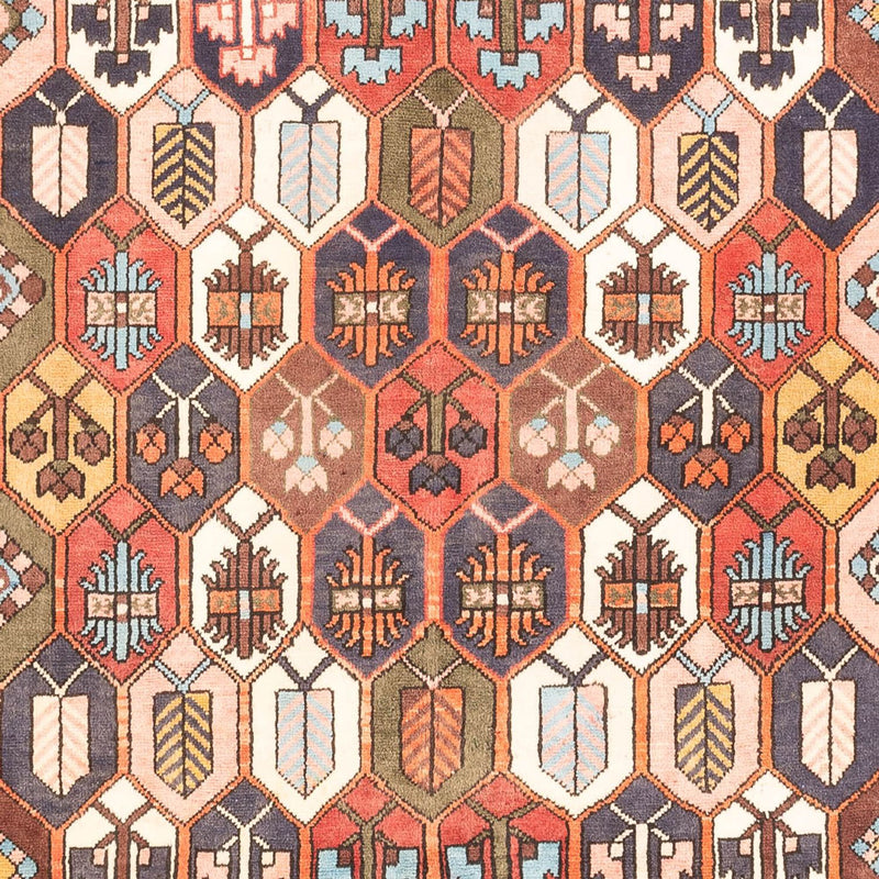 Bachtiar Teppich 215x305cm - Perserteppich - mehrfarbig