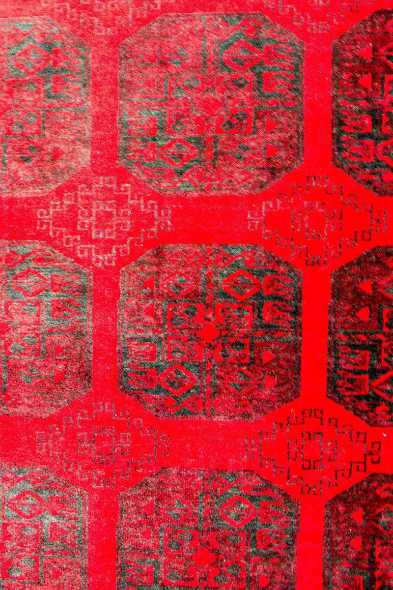 Afghan Teppich - Buchara 203 x 292 cm - rot