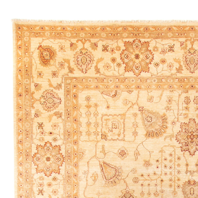 Ziegler Teppich 288 x 406 cm - beige