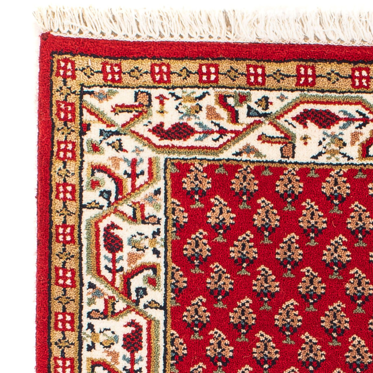 Indo Mir Teppich 60x90cm - Orientteppich - dunkelrot