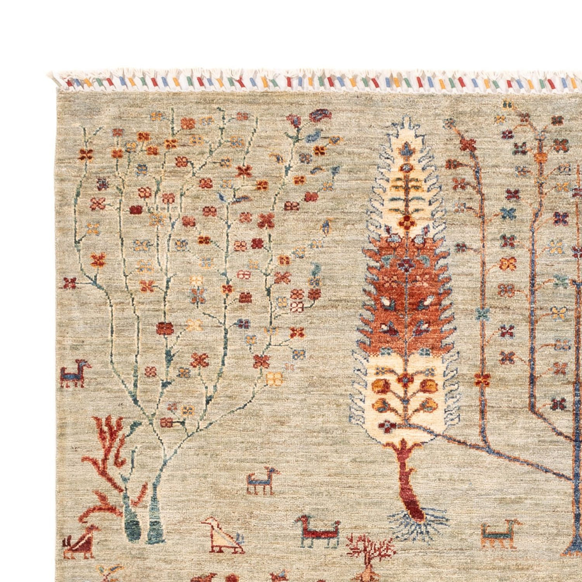 Ziegler Teppich - Ariana - 173 x 240 cm - hellgrau