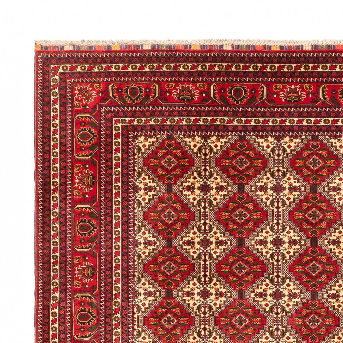 Afghan Teppich 300x385cm - Orientteppich - mehrfarbig