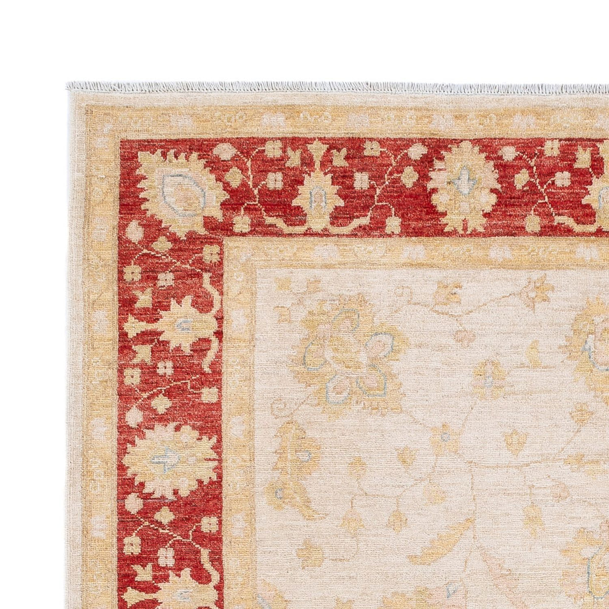 Ziegler Teppich - 178 x 240 cm - creme