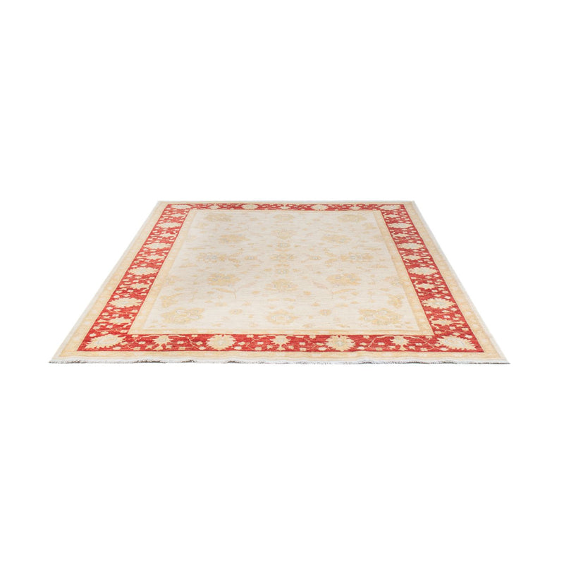 Ziegler Teppich - 178 x 240 cm - creme
