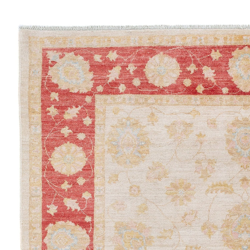 Ziegler Teppich - 172 x 238 cm - creme