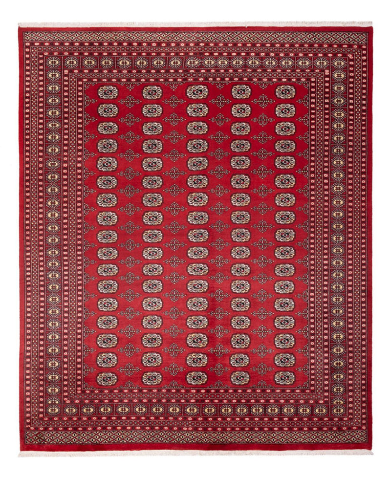 Buchara Teppich 243x298cm - Orientteppich - rot