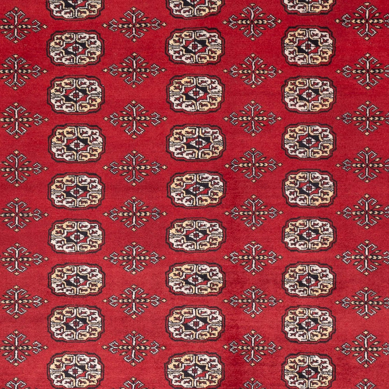 Buchara Teppich 243x298cm - Orientteppich - rot