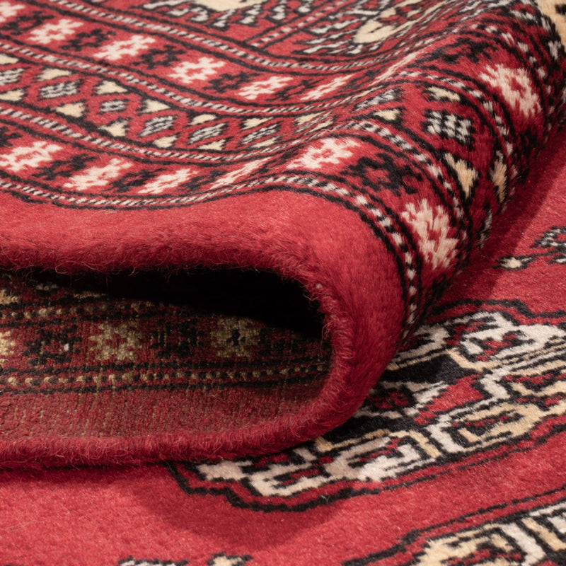 Buchara Teppich 243x298cm - Orientteppich - rot