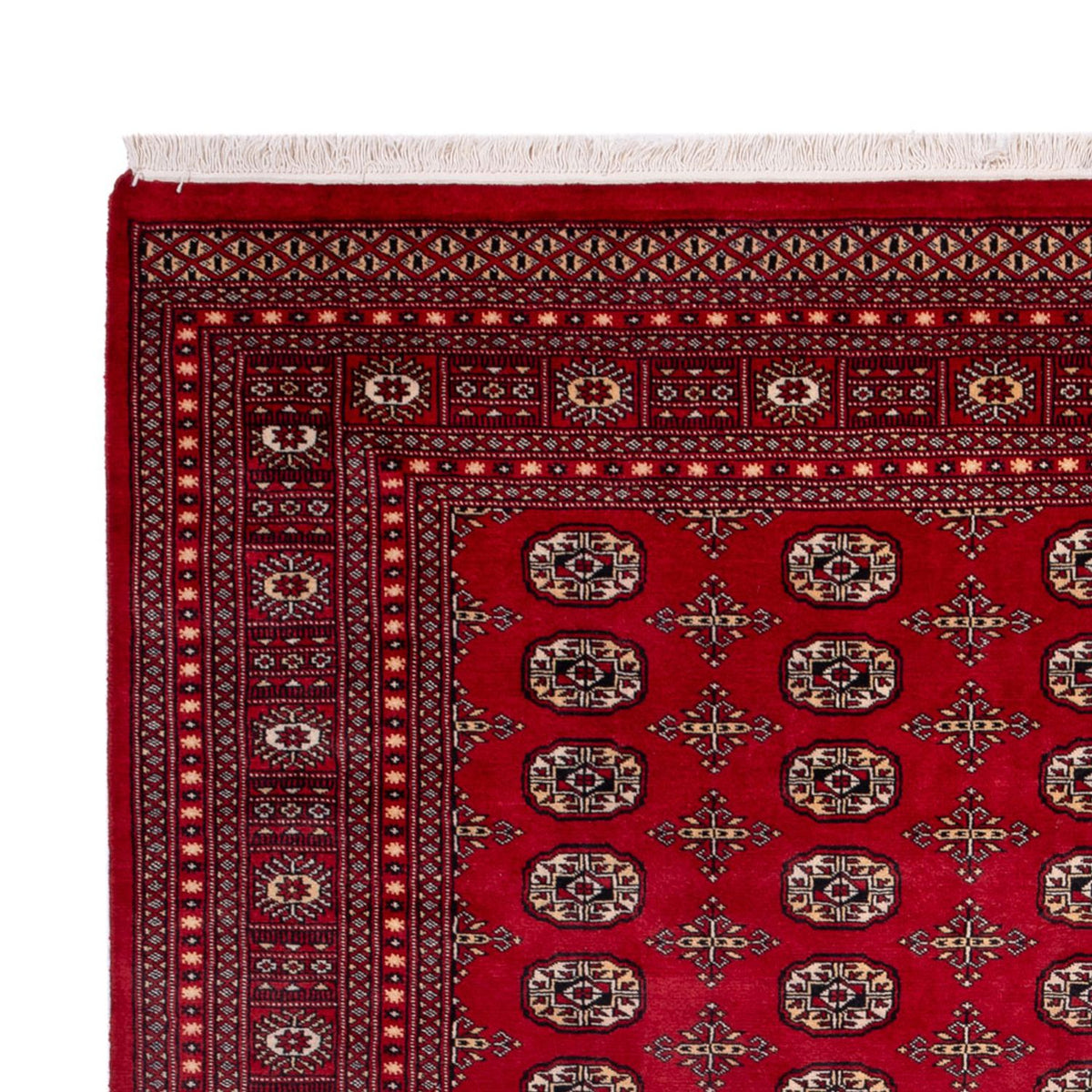 Buchara Teppich 243x308cm - Orientteppich - rot