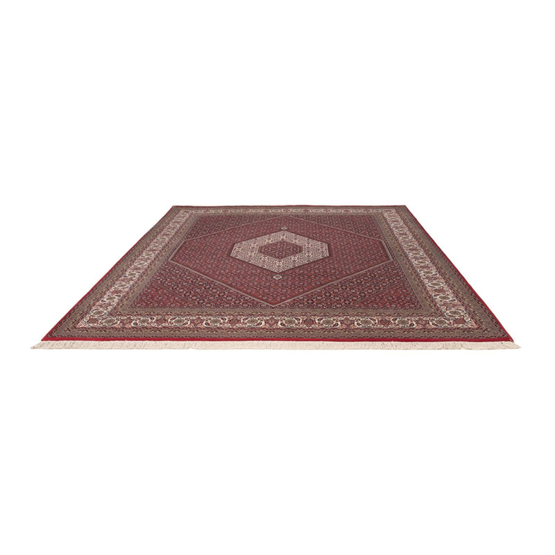 Indo Bidjar Teppich 251x305cm - Orientteppich - dunkelrot