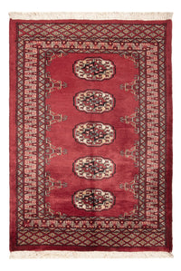 Pakistan Teppich 80x117cm - Orientteppich - rot – product image