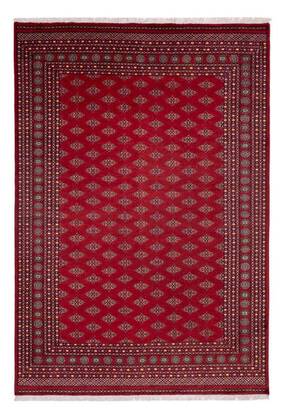 Buchara Teppich 249x365cm - Orientteppich - rot