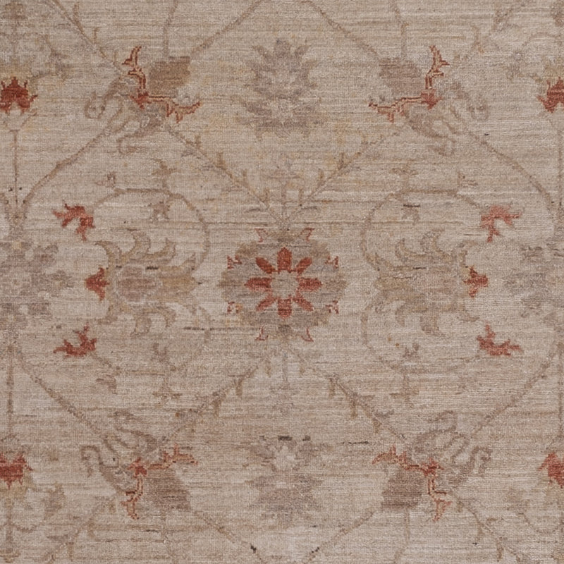 Ziegler Teppich 244x302cm - Orientteppich