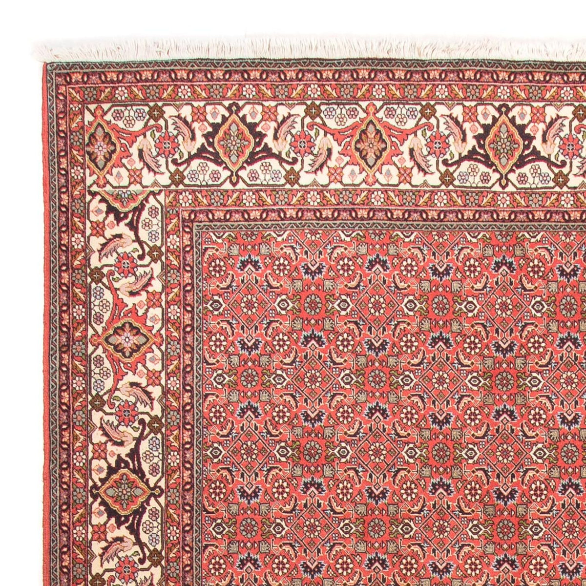 Perserteppich - Bidjar - Royal - 198 x 300 cm - rot