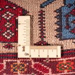 Ghoutshan Teppich 100x145cm - Perserteppich - mehrfarbig