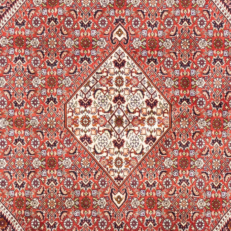 Bidjar - Bukan Teppich 168x240cm - Perserteppich - rot