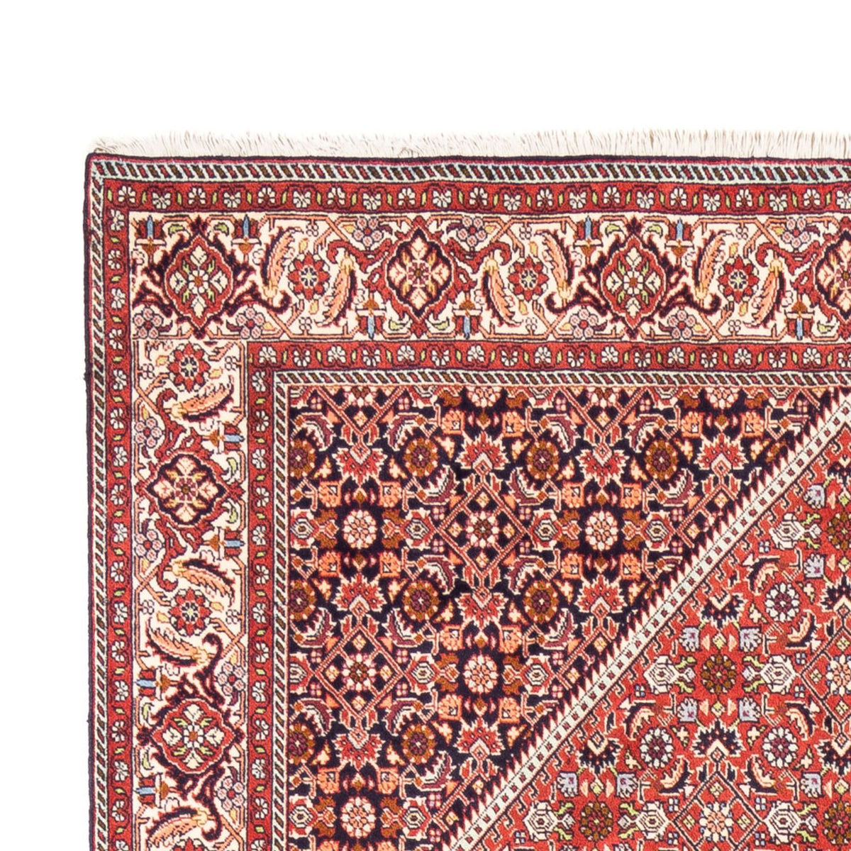 Bidjar - Bukan Teppich 168x240cm - Perserteppich - rot