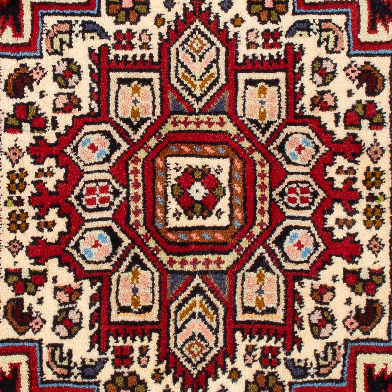 Gholtogh Teppich 57x100cm - Perserteppich - rot