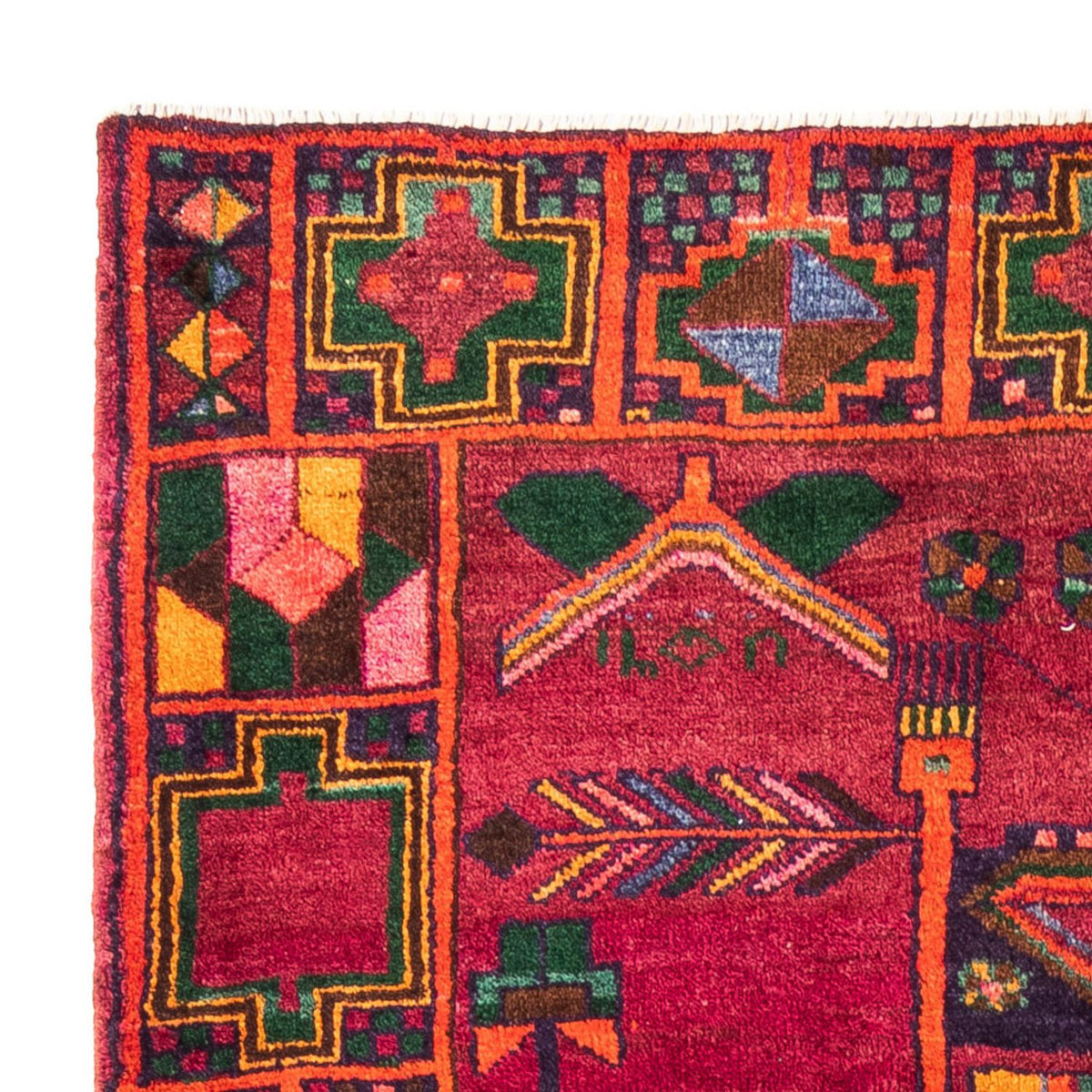 Kolyai Teppich 168x278cm - Perserteppich - rot