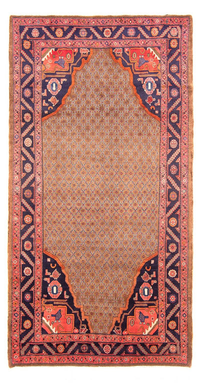 Kolyai Teppich 150x290cm - Perserteppich - mehrfarbig
