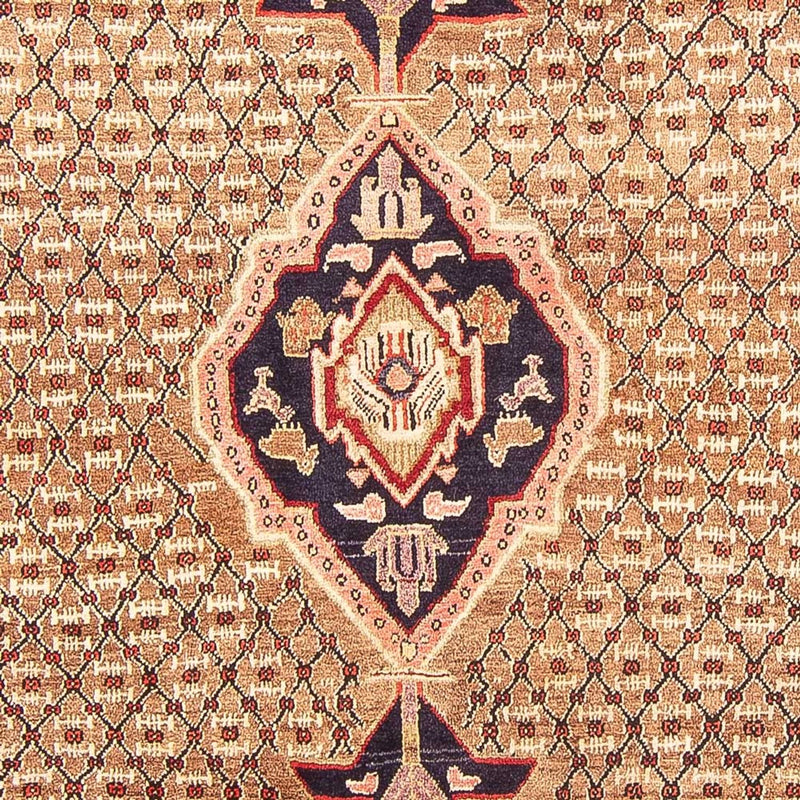Kolyai Teppich 160x310cm - Perserteppich - mehrfarbig