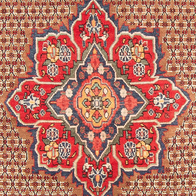 Kolyai Teppich 155x285cm - Perserteppich - mehrfarbig