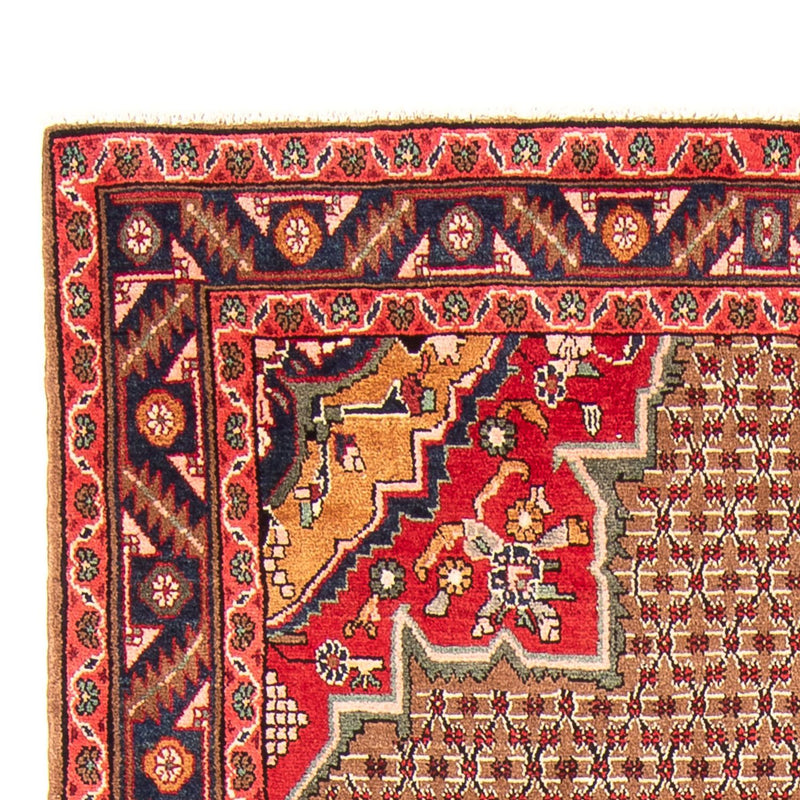 Kolyai Teppich 155x285cm - Perserteppich - mehrfarbig