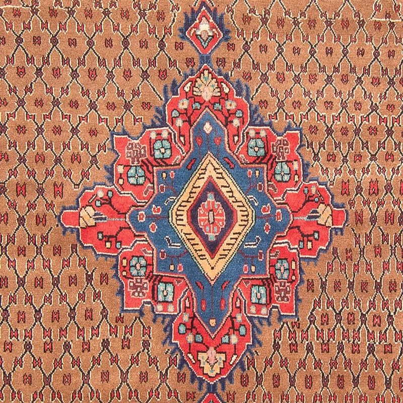 Kolyai Teppich 160x307cm - Perserteppich - mehrfarbig