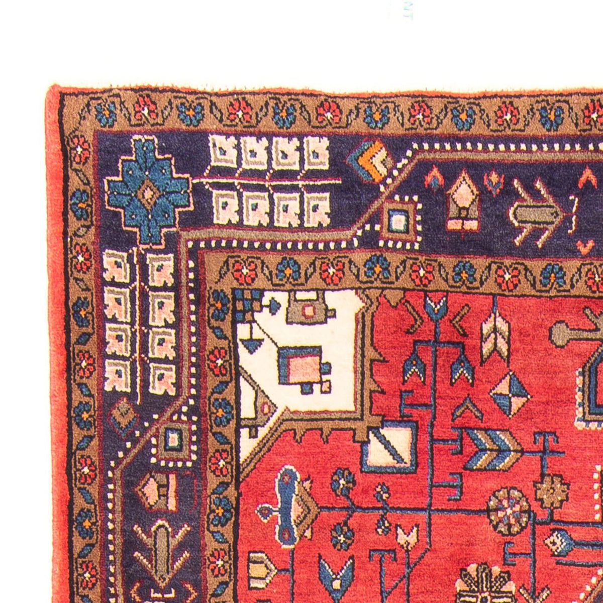 Kolyai Teppich 150x257cm - Perserteppich - rot