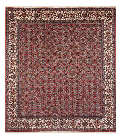 Bidjar - Bukan Teppich 248x296cm - Perserteppich - dunkelrot