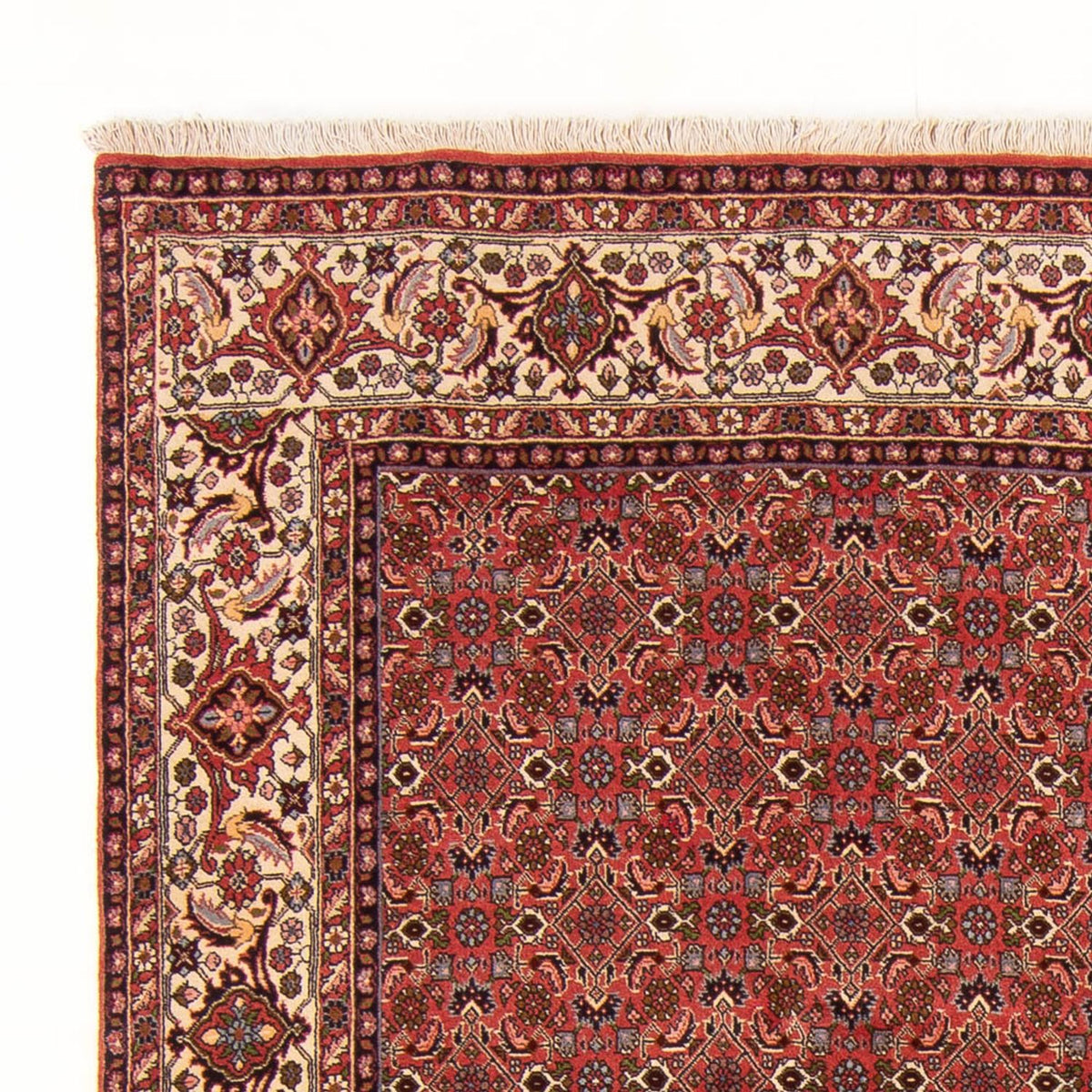 Bidjar - Bukan Teppich 195x289cm - Perserteppich - rot