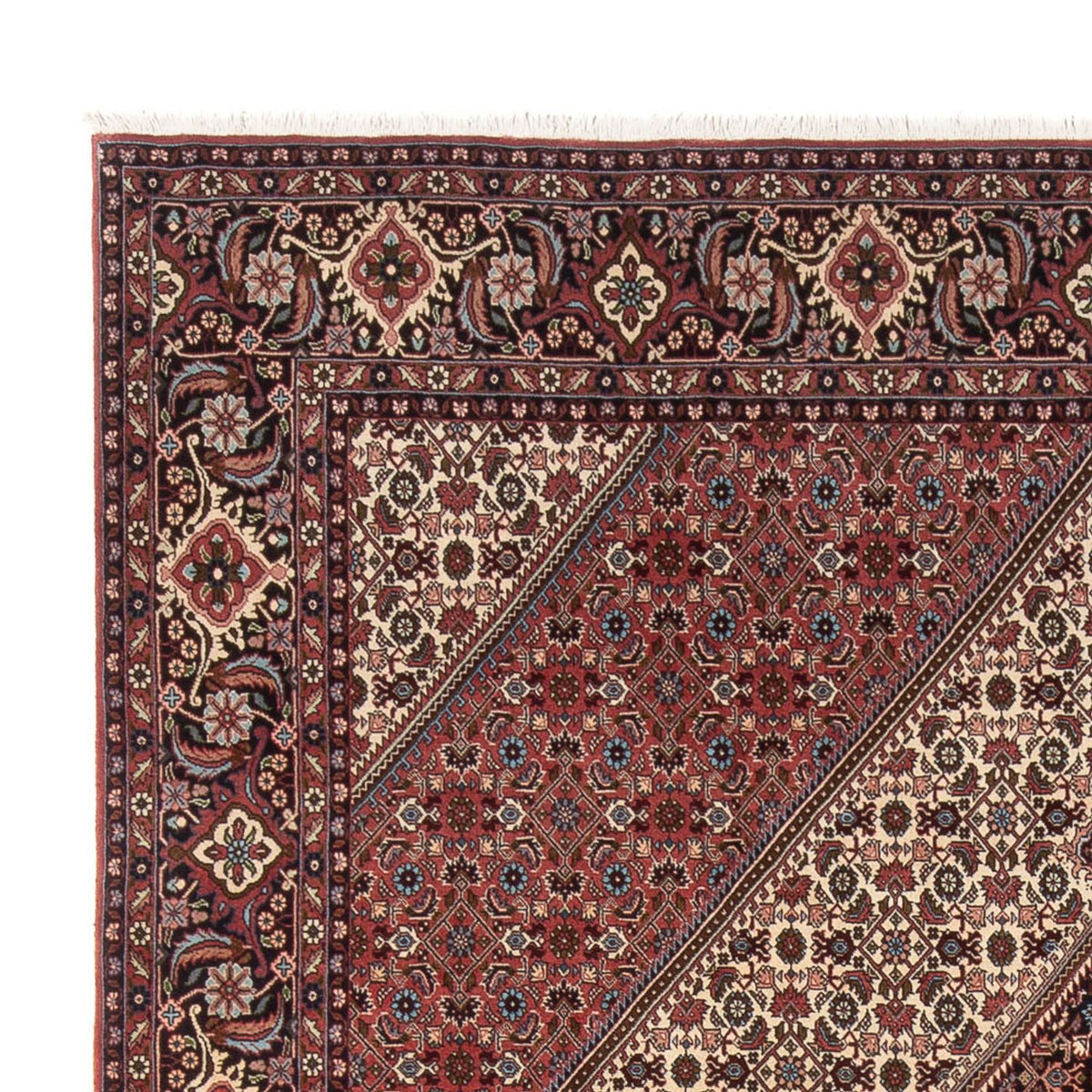 Bidjar - Bukan Teppich 252x296cm - Perserteppich - creme